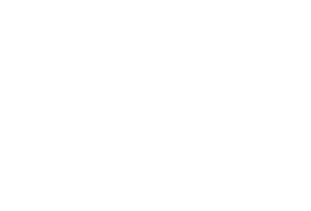 Running Shoe Icon